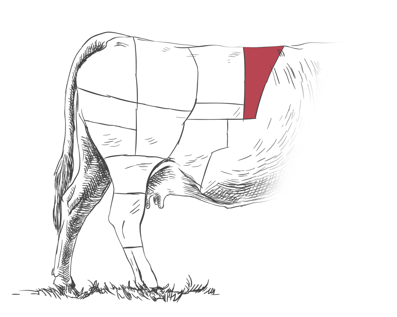 Entrecote